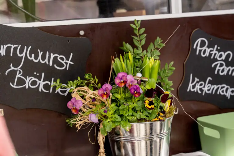 Bikes & Coffee 2026 — Impression 15